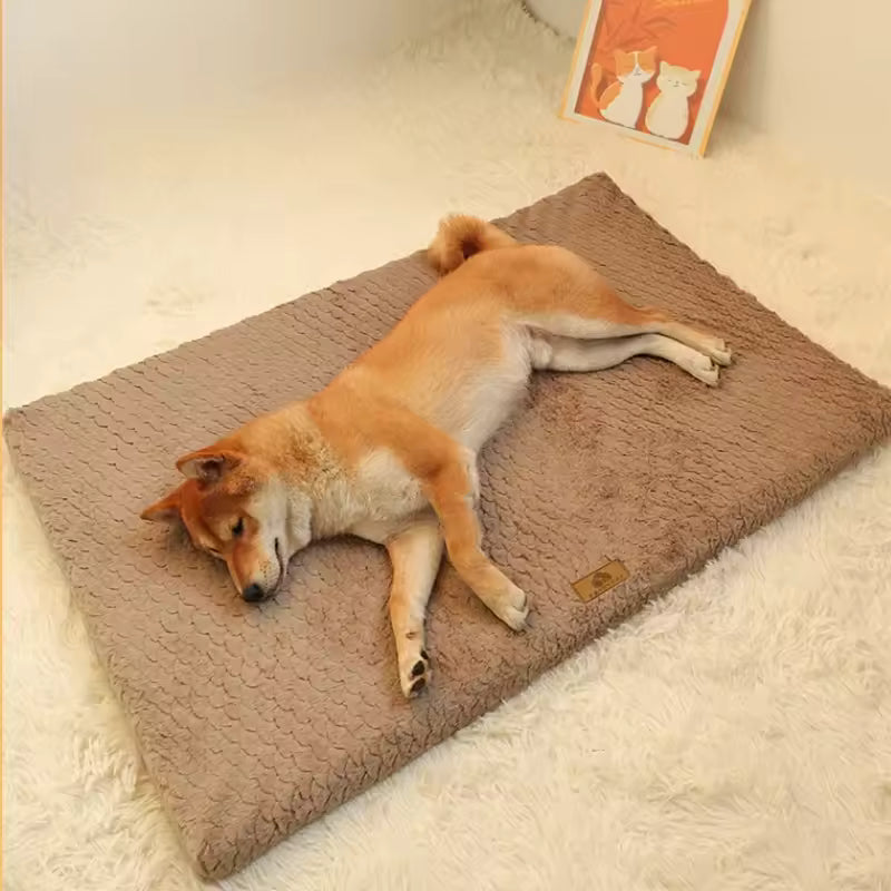 Cama ortopédica de espuma viscoelástica