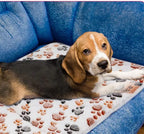 Manta polar - beagle en el sofa