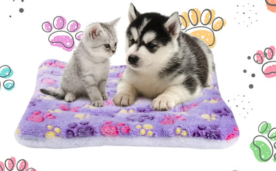 Manta polar ultra suave - cachorro husky y gatito